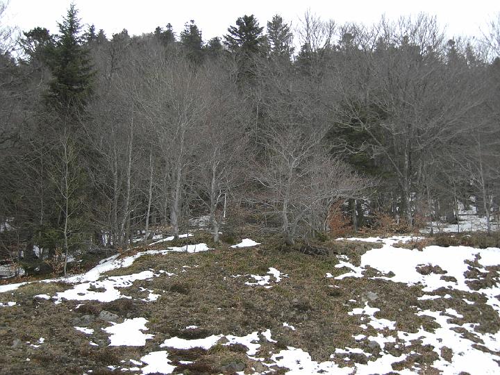 PICT0071