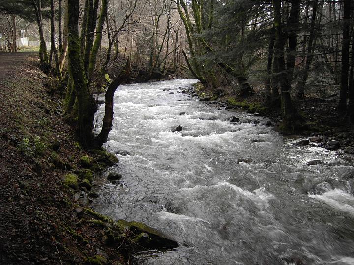 PICT0096
