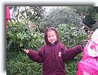 IMG_6238 * 512 x 384 * (71KB)